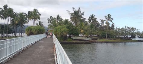 AMBIL SEKARANG