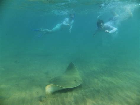 SAFARI AND SURF - All You Need to Know BEFORE You Go 2026 (with Photos ...
