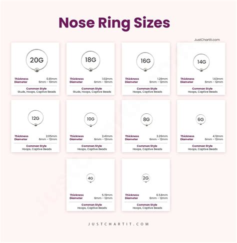 Nose Ring Gauge Sizes Seamless Nose Ring, Annealed, Bendable Choose Size