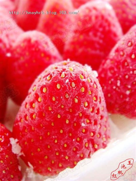 冻草莓的做法_【图解】冻草莓怎么做如何做好吃_冻草莓家常做法大全_玉池桃红_豆果美食