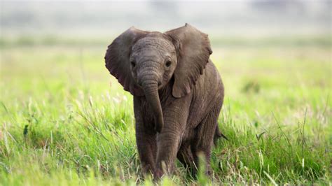 Image result for The Python Queens All Episodes