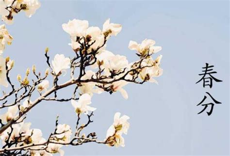 最是一年春好处 春分时节赏诗词_央广网