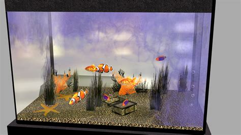 Tropical Fish Tank
