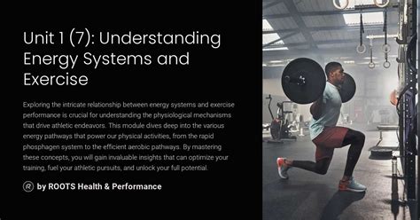 Image result for Understanding Energy Systems Exercise