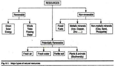 Give the details about the flowchart of uses exhaustible and ...