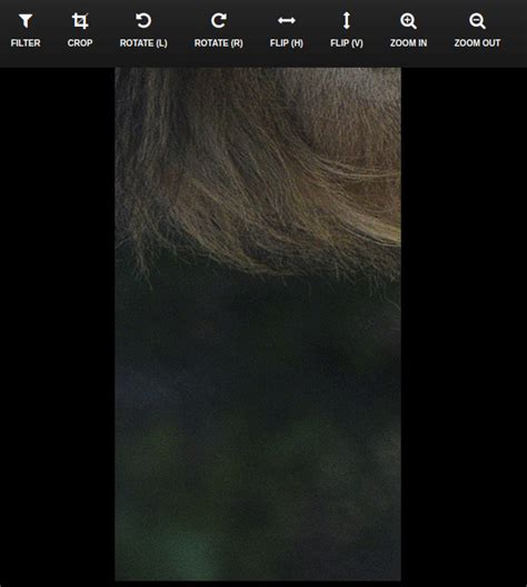 Image result for JavaScript Canvas Rotate Image