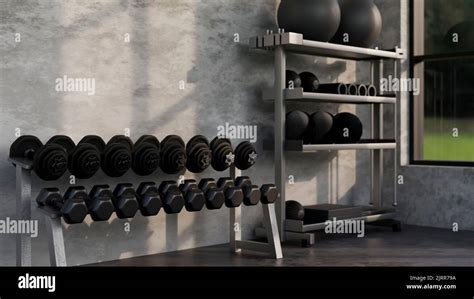 Weight Lifting Gym 的图像结果