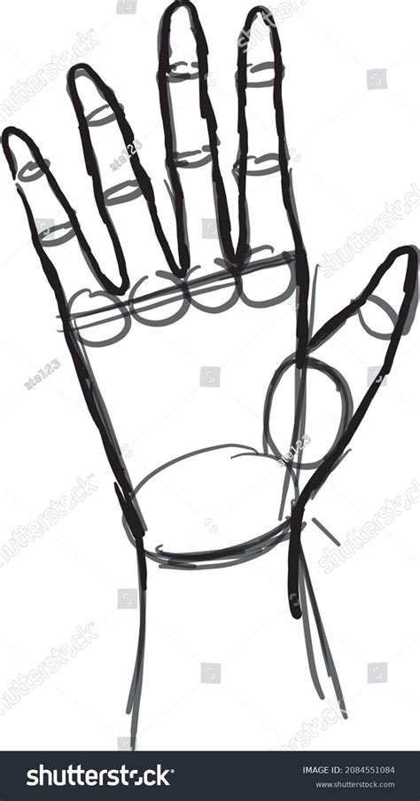 Image result for Hand Anatomy Tutorial