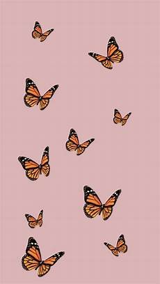 Orange Butterfly Wallpaper Vsco by Vsco Butterfly Aesthetic Cover Wallpapers Wallpaper Cave Orange Butterfly Wallpaper Vsco