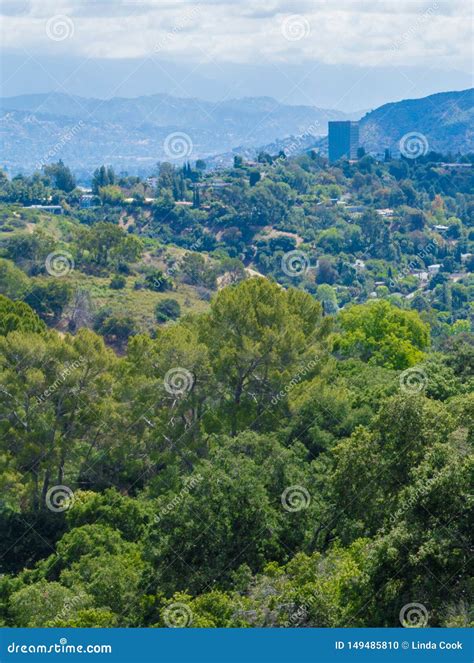 Lush Green Rolling Hills with Los Angeles in the Distance Stock Photo ...