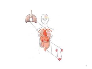 Image result for 5 Class Science Lesson 8