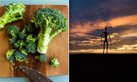 'Broccoli Gas' Might Be A Guide To Find Life On Alien Worlds - Science