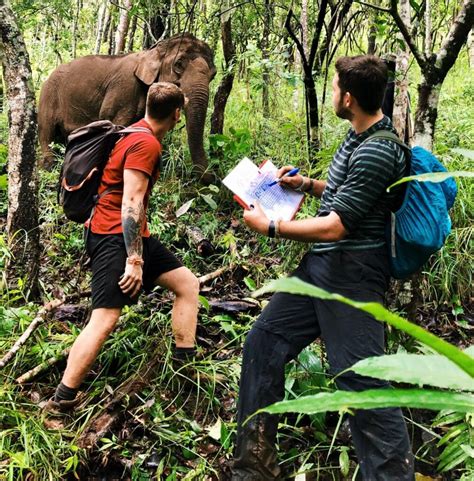 Protection of Ecosystem 的图像结果