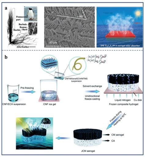 Image result for How to Add Scale Bar On Micrograph