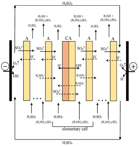 Investigation of Transport Processes through Ion-Exchange Membranes ...