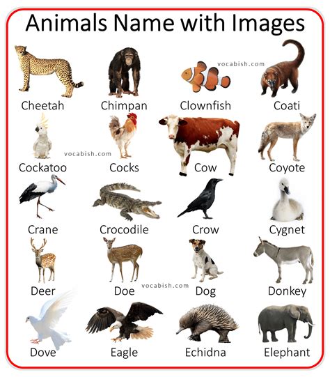 Long Animal Names