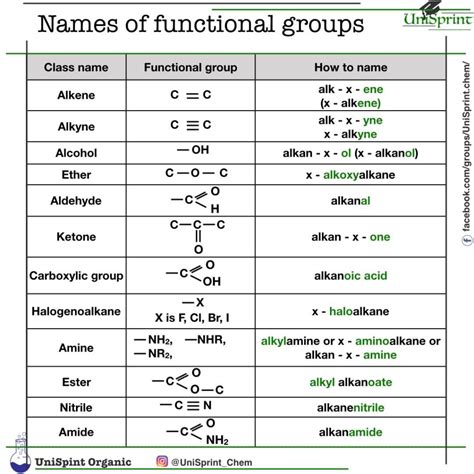 Functional Group Practice Worksheet - E-streetlight.com