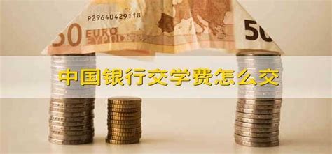 中国银行交学费怎么交 - 财梯网