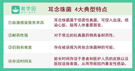 美爆「耳念珠菌」激增、患者90天亡！羅一鈞：國內檢出3例「3類人」小心 | 祝你健康 | 三立新聞網 HEALTH.SETN.COM