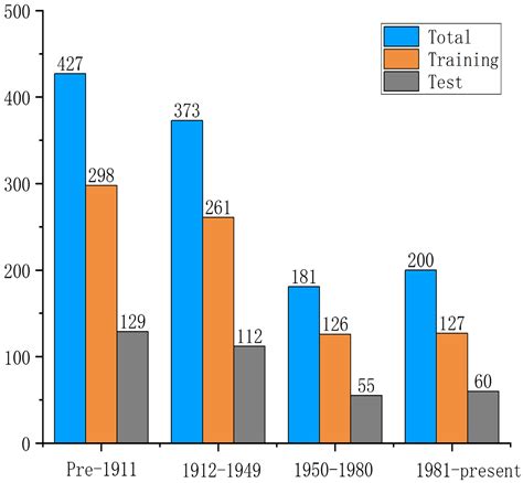 Dual-Branch EfficientNet Model with Hybrid Triplet Loss for ...