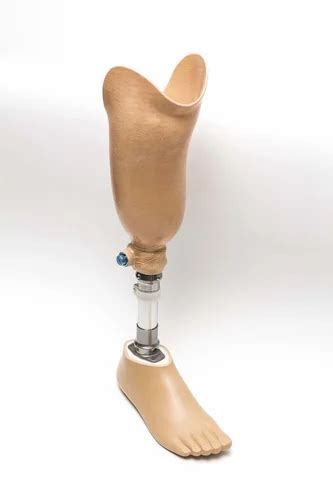 Manufacturer of Leg Prosthesis & Prosthetics Foot by Innovation ...