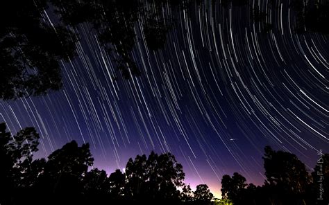 Download wallpaper 3840x2400 trees, branches, night, starfall, starry ...