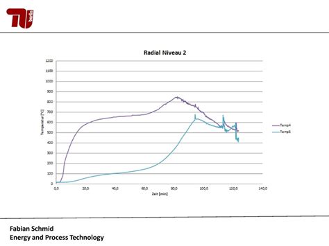 File:Sawdust.pdf - energypedia