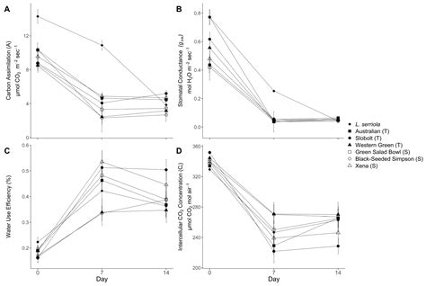 Effects of Mesophyll Conductance and Nitrogen Content on Carbon ...