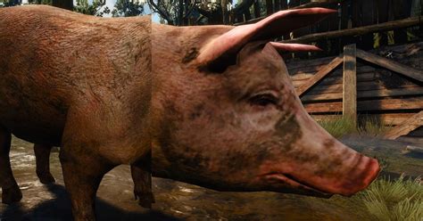 Witcher 3 Texture Mod 的图像结果