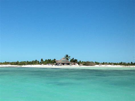 Cayo Largo Tourism (2023): Best of Cayo Largo, Cuba - Tripadvisor