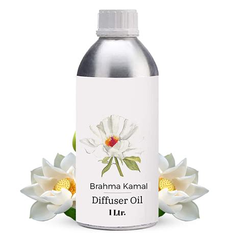 Sage Apothecary Brahma Kamal Diffuser Oil For Relax Calm Mood, Natural ...
