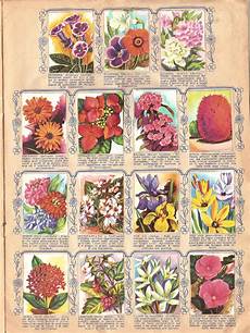 fiori di tutto il mondo fiori di tutto il mondo ed lo 1956 fiori di tutto il mondo fiori di tutto il mondo ed lo 1956