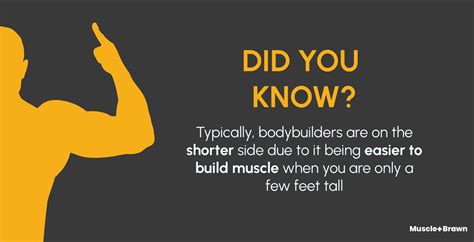 Image result for Size Difference Between Bodybuilder and Normal Man