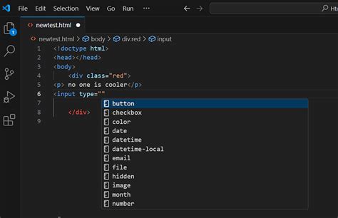 Image result for Visual Studio Code Auto Complete