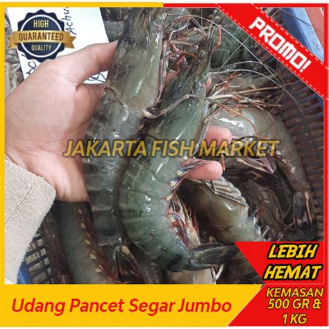 Jual Udang Tiger / Pancet / Windu Jumbo / Gede / Besar Segar ak 10-15 ...