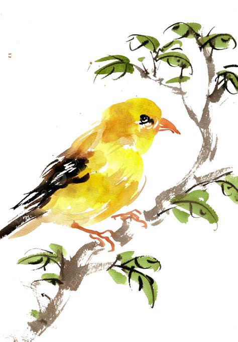 Yellow Bird On Branch, Ink Painting, Foraging, Birds PNG Transparent ...