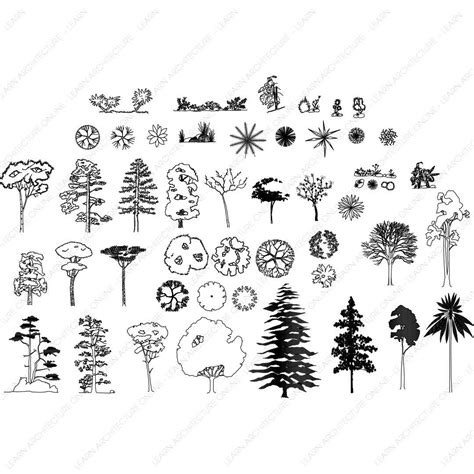 Free CAD Tree Usage Tutorial 的图像结果