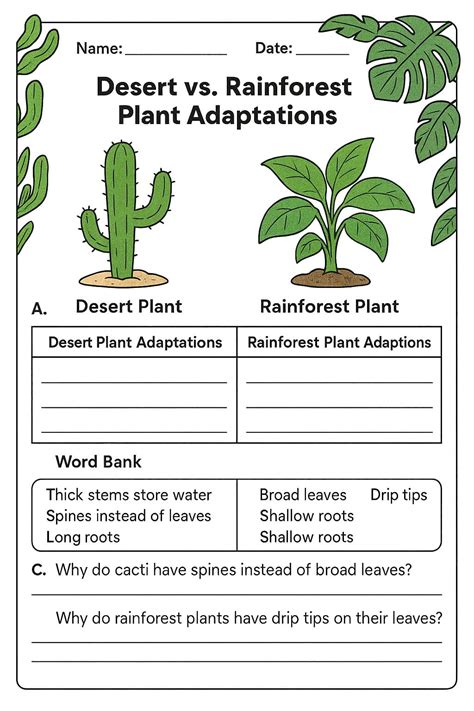 Desert vs. Rainforest Plant Adaptations Worksheet - Download & Print Now!
