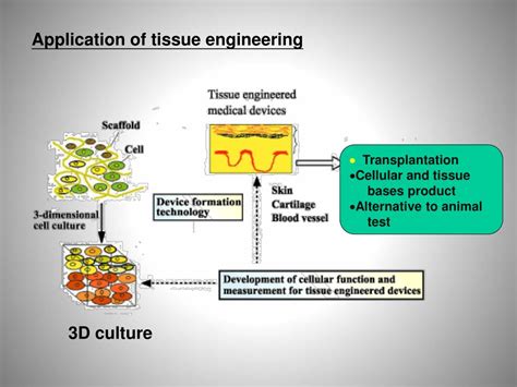 What Is Tissue Engineering 的图像结果