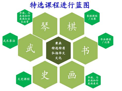 What Is SAP Program 的图像结果