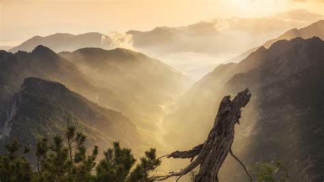 Download wallpaper 1920x1080 mountains, fog, clouds, tree, nature full ...