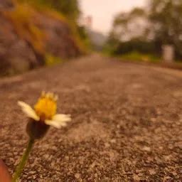 Best Top Rated Church in Thenmala, Kerala, India | Yappe.in