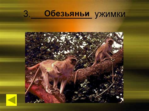 Занимательный русский язык. Интерактивная игра по русскому языку для ...