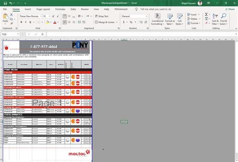 Entry #82 by wajidhassan26 for PDF to Excel Template Creation | Freelancer