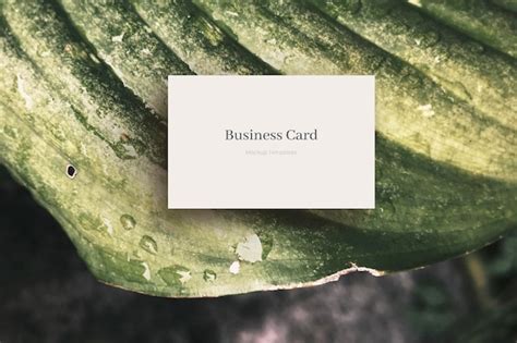 White Business Card Template 的图像结果