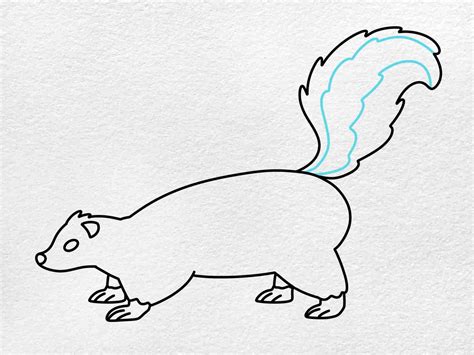 How to Draw a Skunk - HelloArtsy