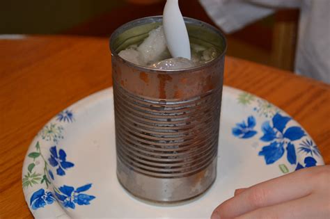 Water Cycle Experiment | Science with Kids.com