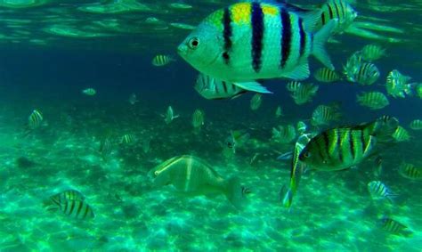 18 Best Things To Do In Perhentian Islands For All Travelers