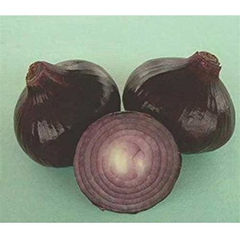 Black Onion Seeds - Unique Blackish-Red Bulbs, High Yield, 135-140 Days ...