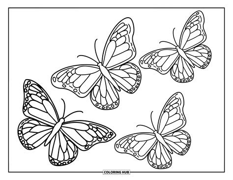 165+ Butterfly Coloring Pages for Kids & Adults (Free Printable PDFs)